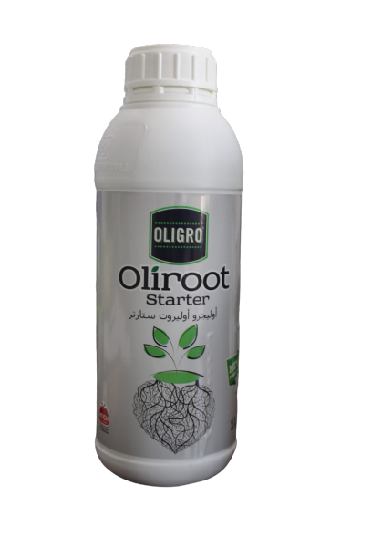 OLIGRO OLIROOT STARTER 1L