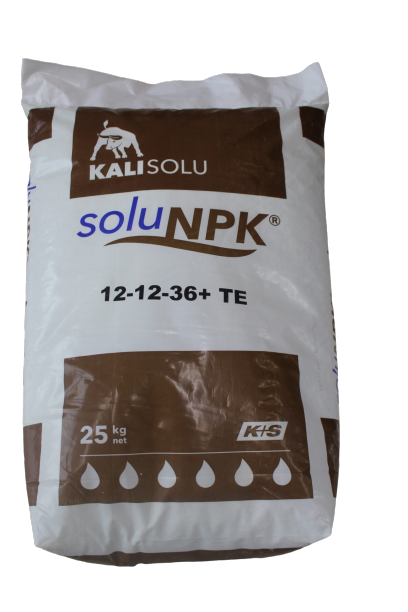 KALI SOLU N P K 12-12-36+TE 25KG