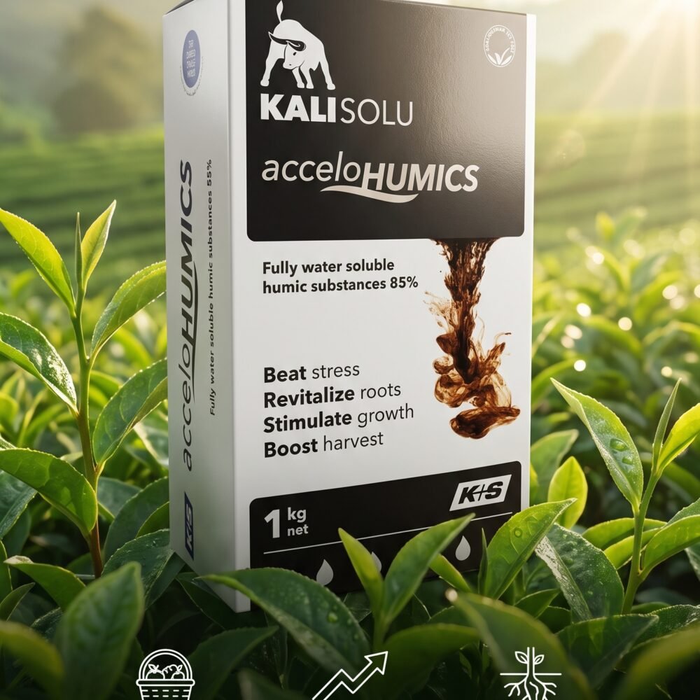 Kali Solu accelo Humics