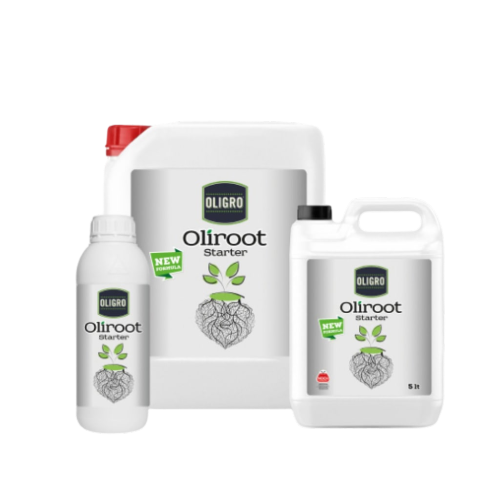 OLIGRO OLIROOT STARTER 1L