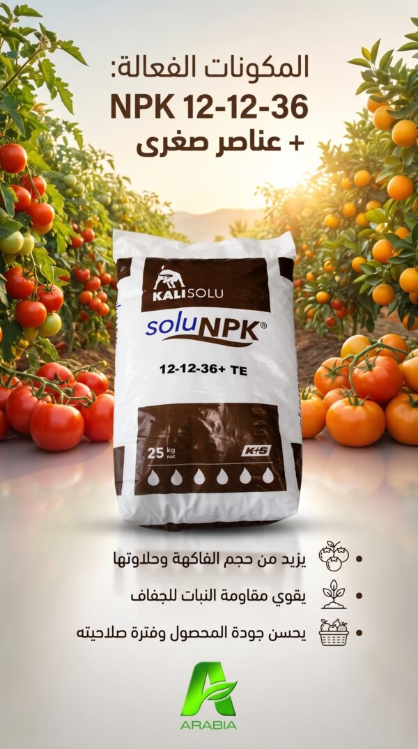 KALI SOLU N P K 12-12-36+TE 25KG