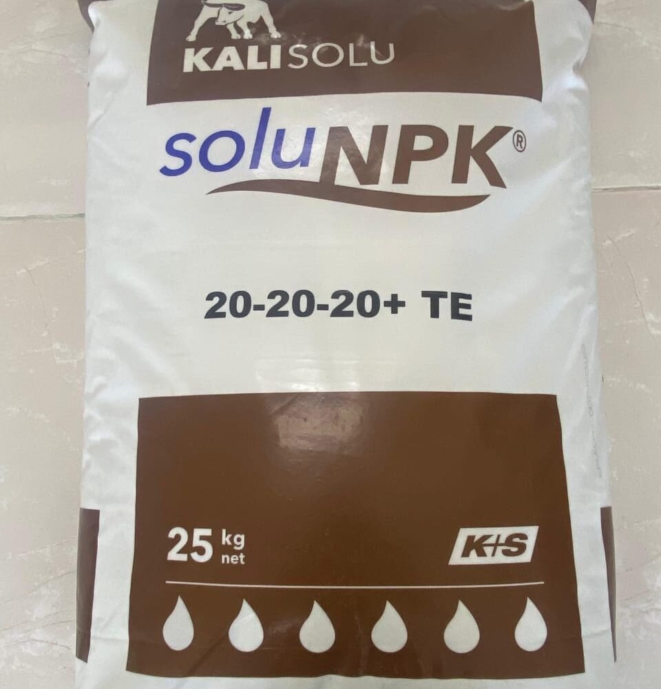 KALI SOLU NPK 20-20-20+TE