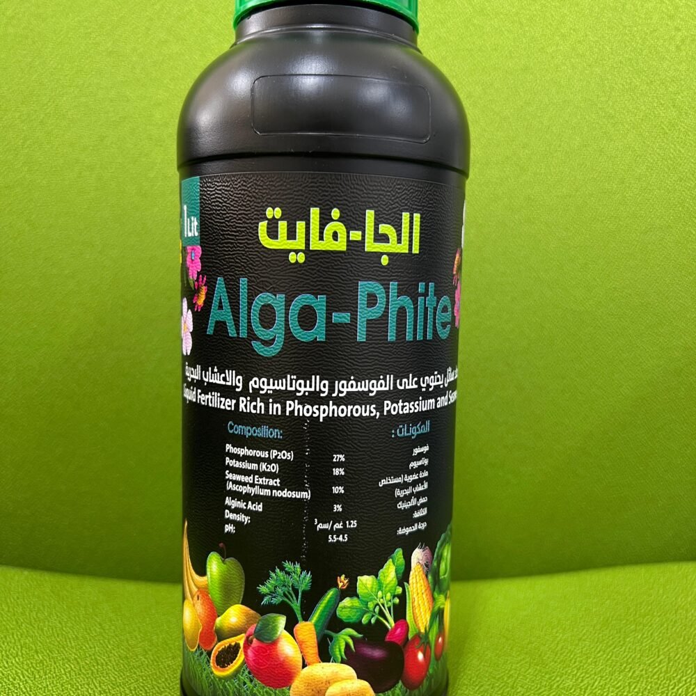 alga Alga-Phite