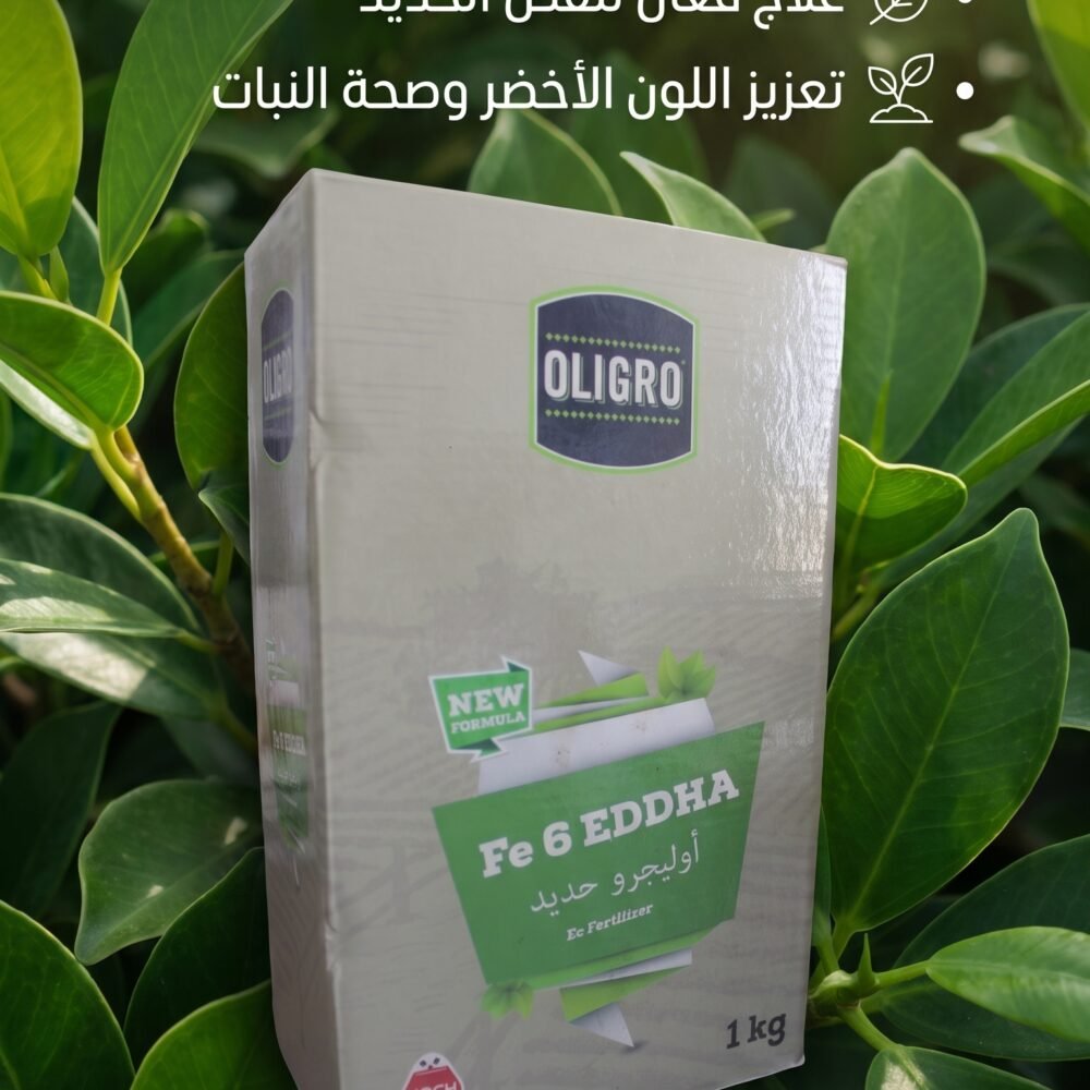 OLIGRO Fe 6 EDDHA  1KG