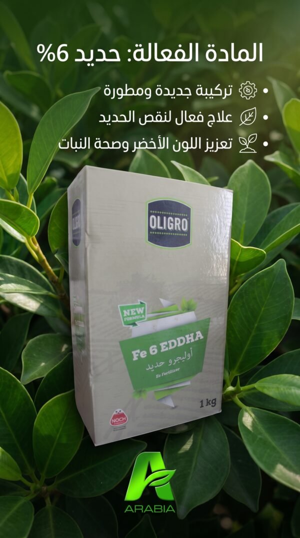 OLIGRO Fe 6 EDDHA  1KG
