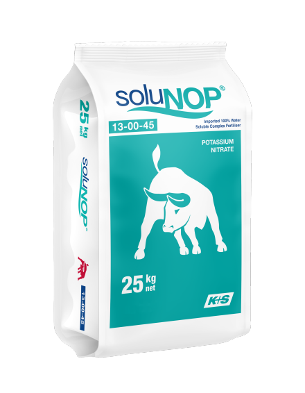 soluNOP side POTASSIUM NITRATE SOLU NOP