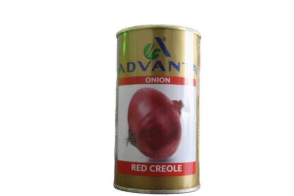 ONION RED CREOLE 50GM