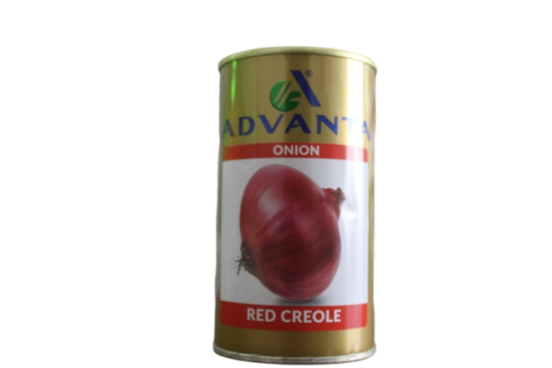 20250204080703_IMG_8590 ONION RED CREOLE 50GM
