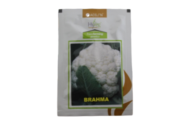 20250204081216_IMG_8594 BRAHMA 10GM