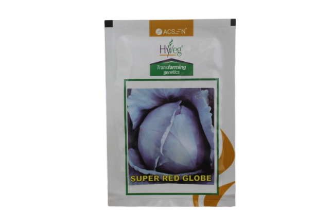 20250204081312_IMG_8597 SUPER RED GLOBE 10GM