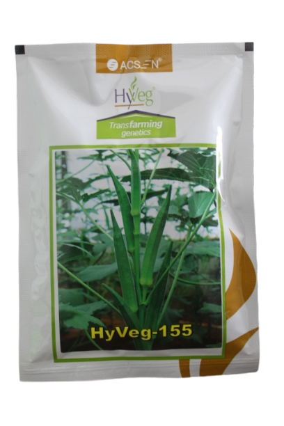 20250204081423_IMG_8599 HYVEG-155 50GM