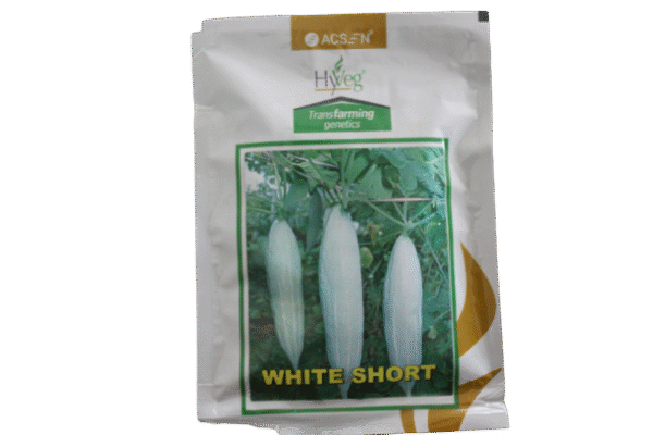 WHITE SHORT HYVEG 50GM