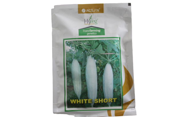 20250204081640_IMG_8604 WHITE SHORT HYVEG 50GM