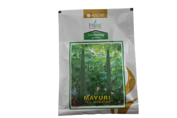 20250204081740_IMG_8606 MAYURI F1 HYBRID 50GM