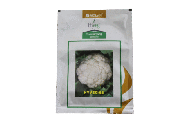 20250204081853_IMG_8608 HYBRID HYVEG _65 F1 _10GM
