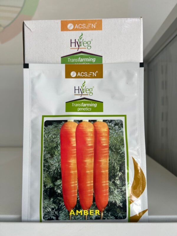 WhatsApp Image 2025-07-19 at 10.33.00_a94eebe7 HYBRID AMBER 10GM