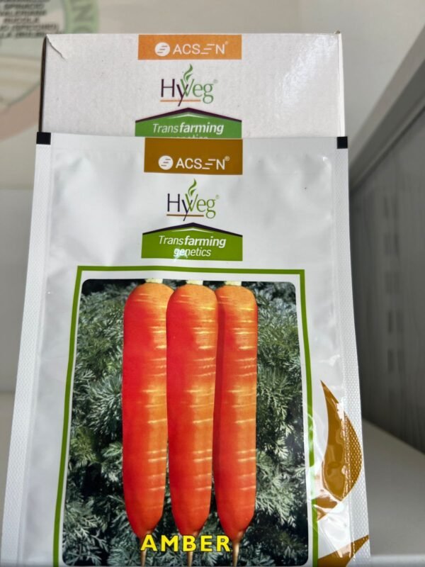 WhatsApp Image 2025-07-19 at 10.33.02_c79aaa72 HYBRID AMBER 10GM