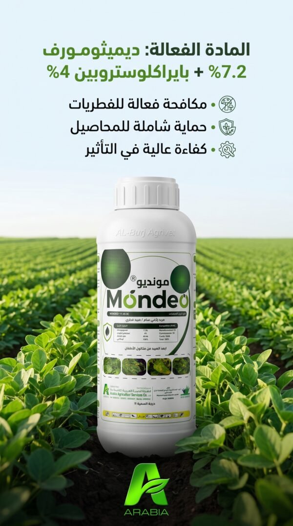 Mondeo  11.2% EC  1L