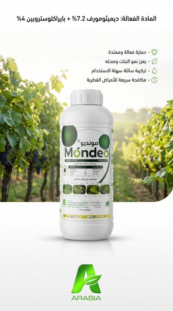 Mondeo  11.2% EC  1L